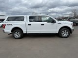 Used 2019 Ford F150 4x4 SuperCrew image 6