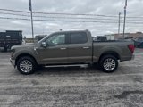 New 2025 Ford F150 XLT w/ Equipment Group 302A MID image 3