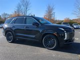 New 2025 Hyundai Palisade Calligraphy image 2