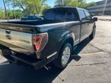 Used 2013 Ford F150 Platinum image 5