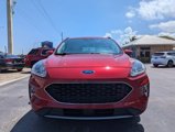 Used 2020 Ford Escape SEL image 2
