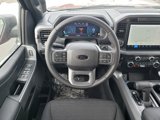 New 2025 Ford F150 XLT w/ Equipment Group 302A MID image 3