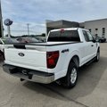 New 2025 Ford F150 XL w/ Equipment Group 103A High image 3