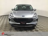 Used 2021 Ford Escape SE image 2