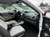 Used 2023 Subaru Forester image 6