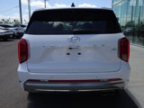 New 2025 Hyundai Palisade Calligraphy image 4