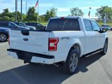 Used 2020 Ford F150 XLT w/ Equipment Group 302A Luxury image 4