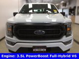 Certified 2023 Ford F150 XLT w/ Equipment Group 302A High image 5