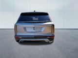New 2026 Cadillac Vistiq Sport image 4