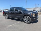 Used 2023 Ford F150 XL w/ STX Appearance Package image 2