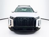 New 2025 Hyundai Palisade Calligraphy image 2