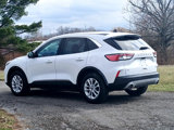Used 2020 Ford Escape SE image 5
