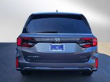 New 2026 Honda Odyssey Elite image 4