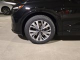 New 2025 Audi Q4 e-tron Premium Plus image 5