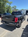 Certified 2023 Ford F150 XLT w/ Equipment Group 302A High image 3