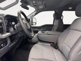 New 2025 Ford F250 XL image 6