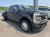 New 2025 Ford F450 Platinum image 2