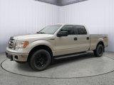 Used 2012 Ford F150 XLT image 4