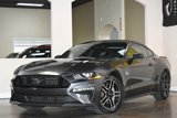 Used 2019 Ford Mustang GT w/ Equipment Group 301A image 4