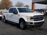 Used 2019 Ford F150 XLT w/ Equipment Group 302A Luxury image 2
