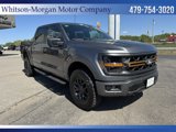 New 2025 Ford F150 Tremor image 3