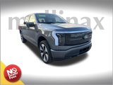 New 2025 Ford F150 Lightning Platinum image 1