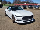 New 2025 Ford Mustang Premium image 3