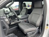 Used 2023 Ford F150 XLT w/ Equipment Group 302A High image 2