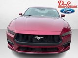 New 2025 Ford Mustang Premium image 2