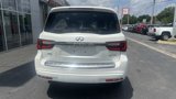 Used 2024 INFINITI QX80 Premium Select w/ Cargo Package image 3