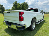 Used 2024 Chevrolet Silverado 1500 W/T w/ WT Fleet Convenience Package image 6