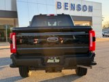 New 2025 Ford F250 XL image 4