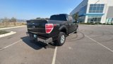 Used 2013 Ford F150 XLT w/ Luxury Equipment Group image 6