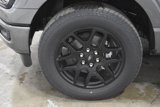 New 2025 Ford F150 STX image 4