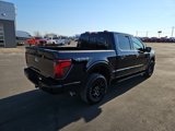 New 2025 Ford F150 XLT w/ Equipment Group 302A MID image 6