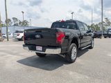 New 2025 Ford F150 XLT w/ Equipment Group 302A MID image 4