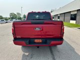 New 2025 Ford F150 STX image 4