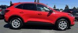 Used 2024 Ford Escape Active w/ Tech Pack #1 image 5