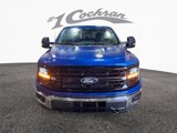New 2025 Ford F150 XLT w/ Equipment Group 303A High image 2