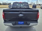 New 2024 Ford F150 XLT w/ Equipment Group 302A MID image 5