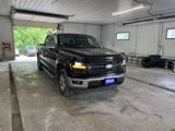 Used 2024 Ford F150 XLT image 3