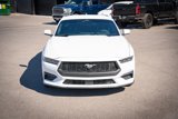 Used 2024 Ford Mustang Coupe image 2