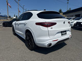 Used 2021 Alfa Romeo Stelvio Ti w/ Premium Package image 3