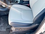 New 2026 Kia Carnival SX Prestige image 4