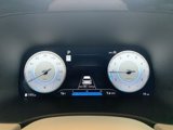 New 2025 Hyundai Palisade Calligraphy image 5
