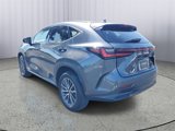 Used 2025 Lexus NX 350 AWD w/ Premium Package image 4
