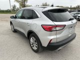 Used 2020 Ford Escape SE image 5