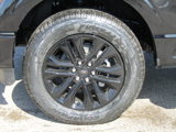 New 2025 Ford F150 XLT image 4
