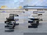 New 2025 Ford F250 Platinum image 3