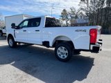 New 2025 Ford F250 XLT w/ F-250 >10K GVWR Package image 3
